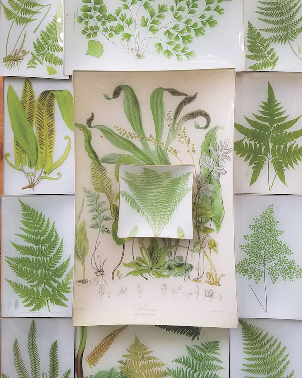 Twigs and Moss Maison Beaufort February 2026 vendor