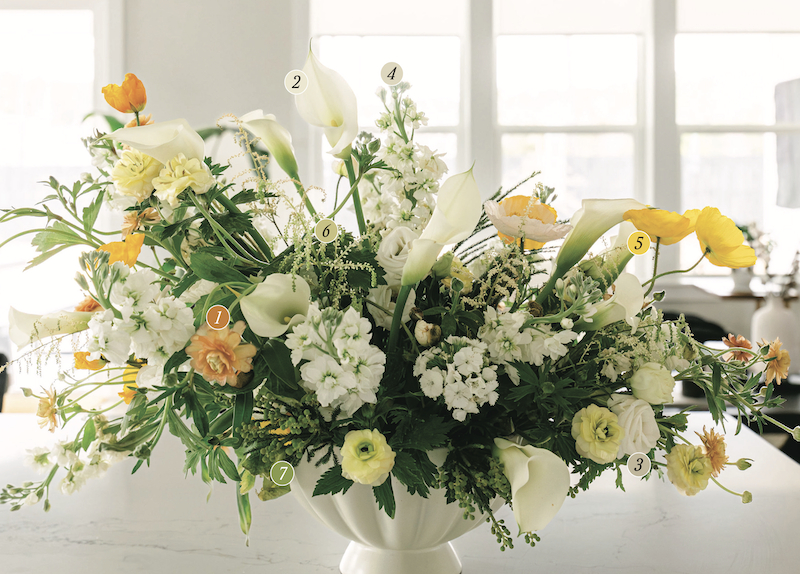 Guide to March 2026 floral arrangement of butterfly ranunculus, calla lilies, lisianthus, white delphinium, poppy, astilbe and broom berries