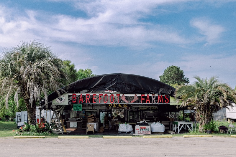 Barefoot Farms strawberries Sea Island Parkway