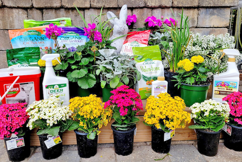 Soil mixes and fertilizers spring 2026 gardening in South Carolina