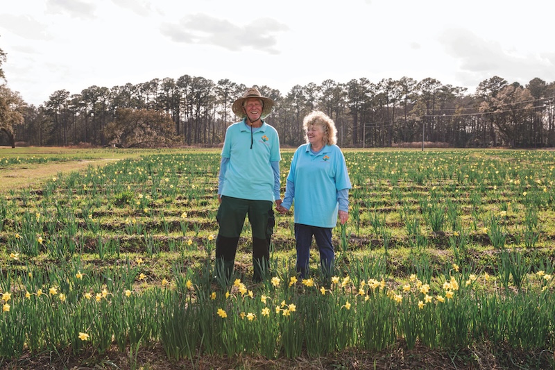 U Pick Daffodils, Okatie