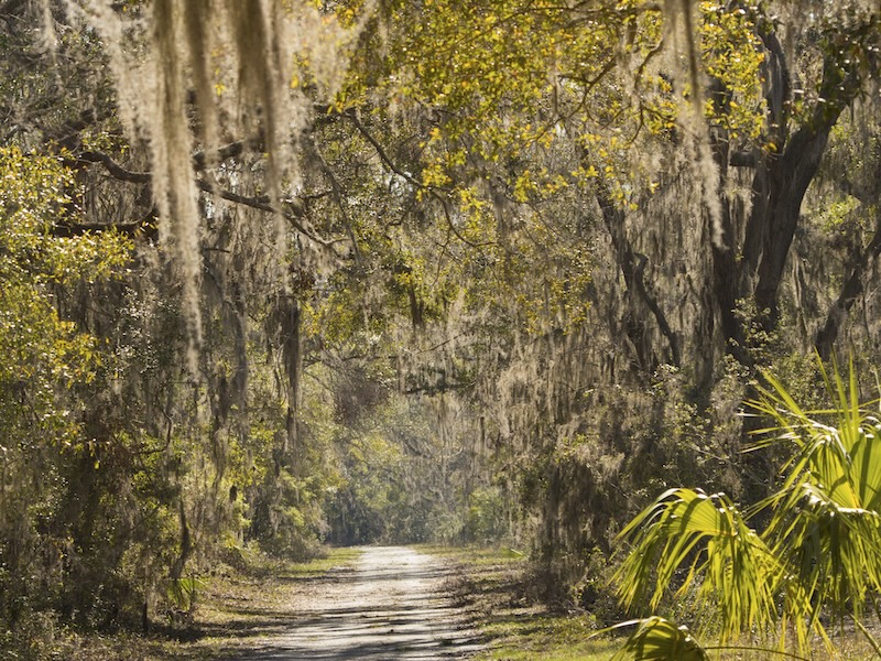 Harris Neck National Wildlife Refuge