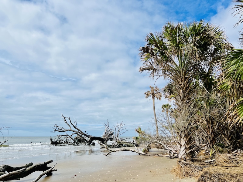Botany Bay 
Heritage Preserve 