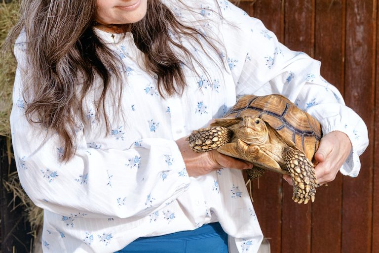 April 2026 barnyard chic style guide