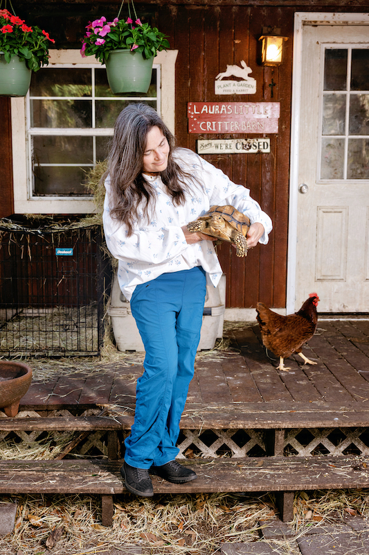 April 2026 barnyard chic style guide Laura's Little Critter Barn