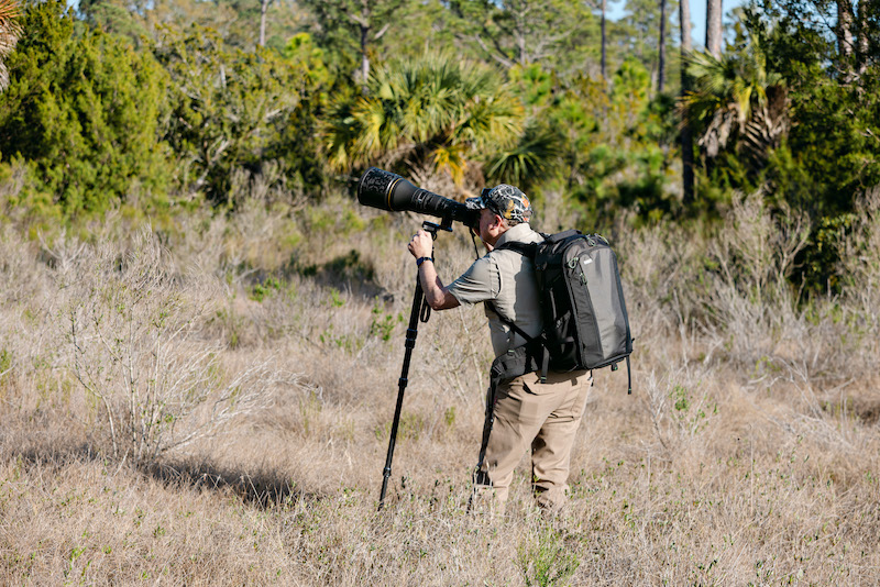 Dr. Jeff Kramer nature wildlife photographer and physician in Beaufort South Carolina