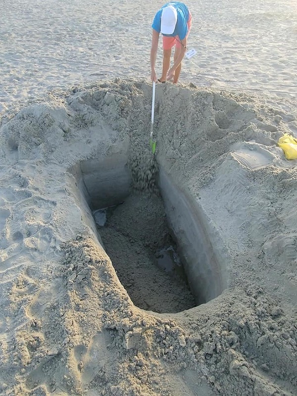 Sea Turtle Patrol HHI digging holes for sea turtles season Hilton Head Island
