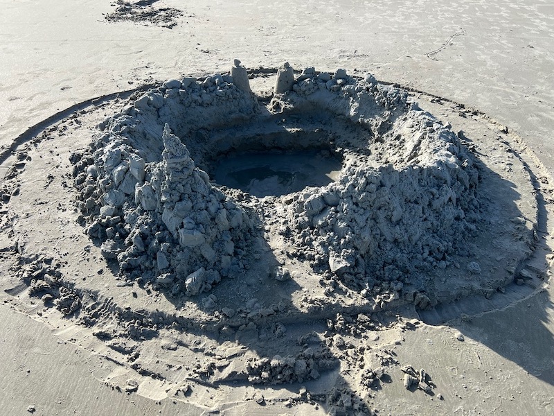 Sea Turtle Patrol HHI sea turtle nests Hilton Head Island