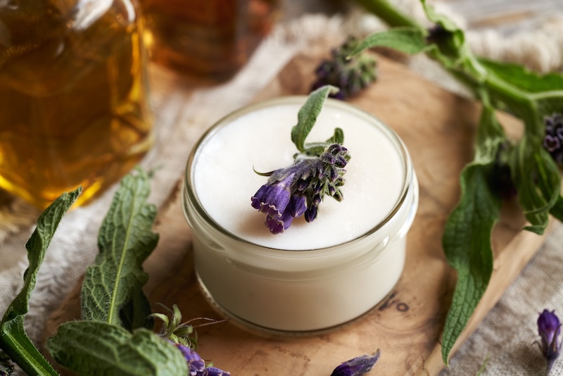 Aloe vera plant used for burns and skin relief in natural remedies