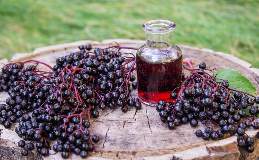 Elderberry syrup and berries used in traditional Southern home remedies