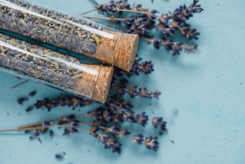 Dried Organic True Lavender or English lavender Lavandula angustifolia Macro closeup. Top view. selective focus. cooking lavandula design template. Preparing for cooking. Organic Dry Herbs