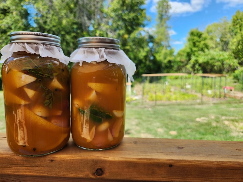 Apple cider vinegar tonic with garlic and herbs for natural wellness