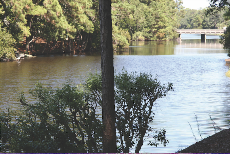 Fishing lagoon inside Palmetto Dunes Hilton Head