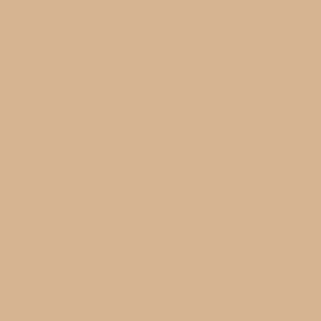 Nice Nectarine Dutch Boy Color of the Year 2026