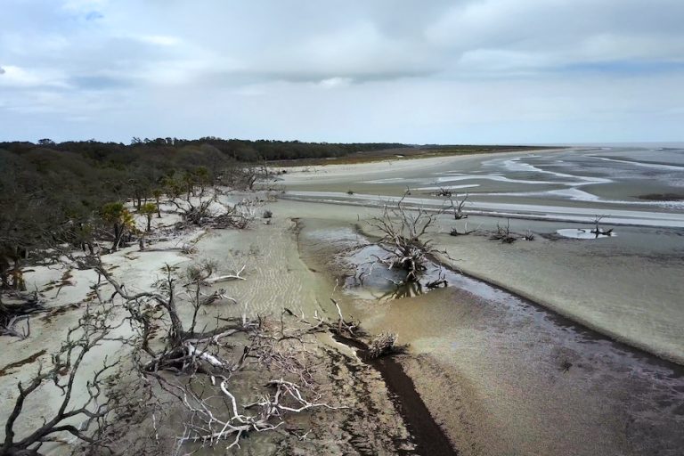 Ossabaw Island Georgia beach