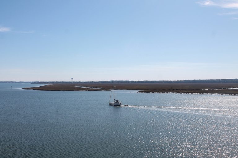 10 Scenic Waterways to Explore in the Lowcountry