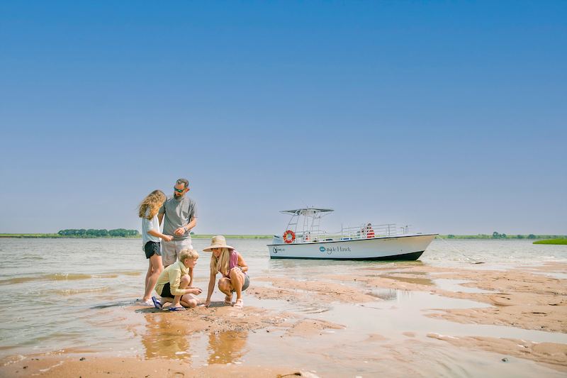 Private shark tooth island cruise Shelter Cove Broad Creek summer 2026 things to do
