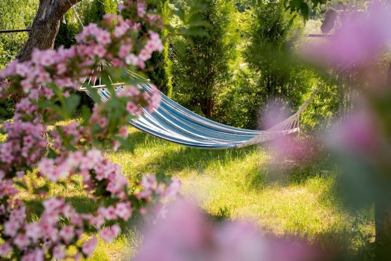 Hammock resting in trees to beat the heat July gardening tips