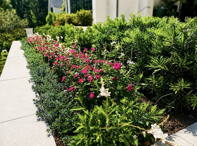 Layered gardening idea from Earthworks Landscape to style Lowcountry backyards and outdoor spaces