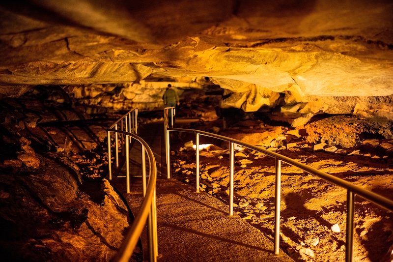 Mammoth Cave National Park
