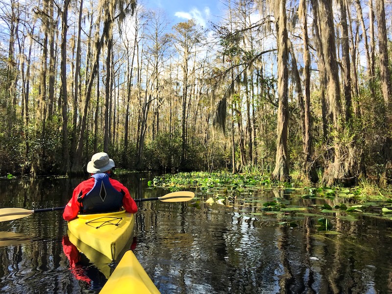 Okefenokee National
Wildlife Refuge