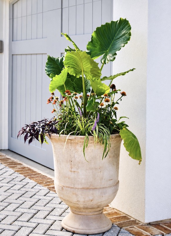 Statement planter from Earthworks Landscape to style Lowcountry backyards and outdoor spaces