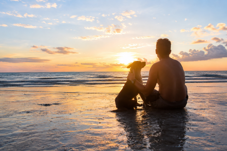 A person relaxing with their dog, illustrating the mental and physical health benefits of pet companionship.