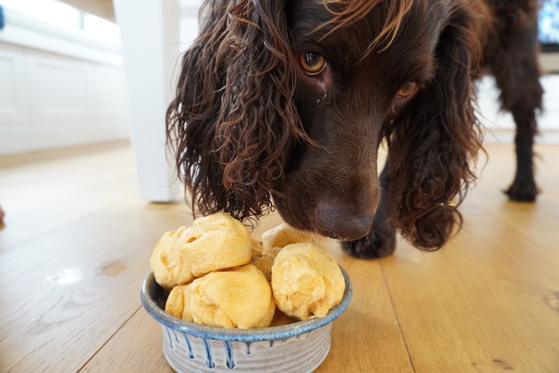 Camo Gives These Frozen Dog Treats His Paw of Approval