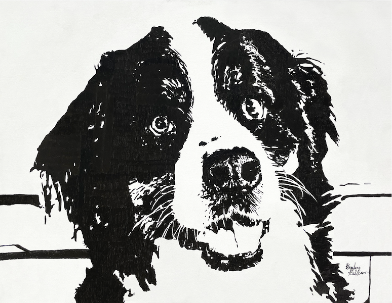 Artwork of Australian Shepherd dog