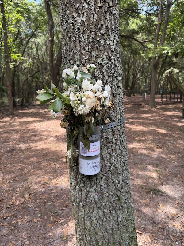 Barb's memorial at Best Friends Dog Park at Chaplin Community Park in Hilton Head Island