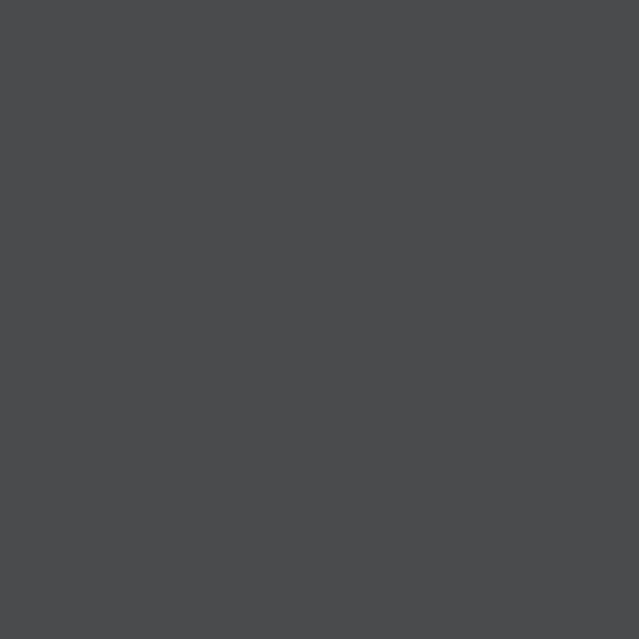Benjamin Moore Wrought Iron Game room paint palette