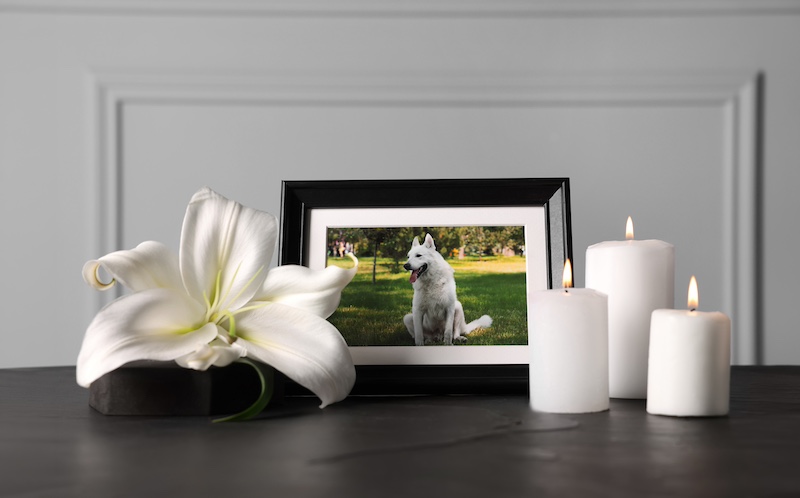Dog memorial photograph lily candles picture frame