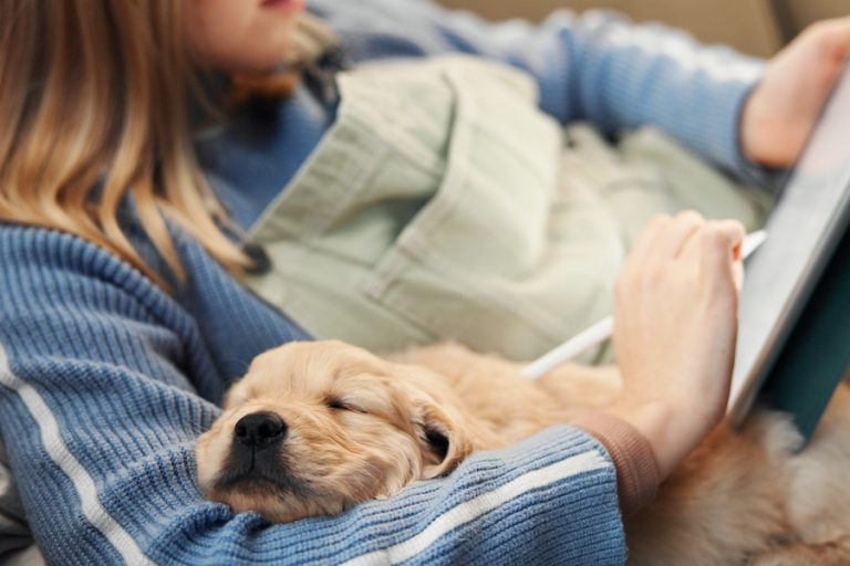 Dog resting on arm building trust and companionship