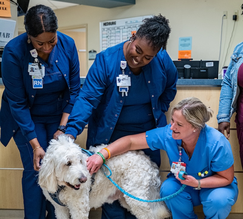 Healthcare workers gather around Toby during a therapy dog visit at a Lowcountry hospital.