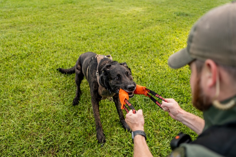 Sgt. Sean Toomey and K-9 Niko