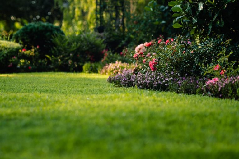 Lowcountry green lawn care tips from Greencoast Landscape and Hardscape