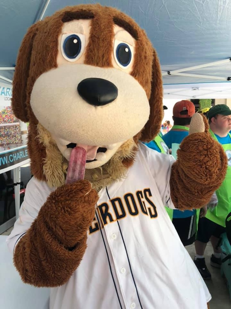 Charleston RiverDogs Mascot