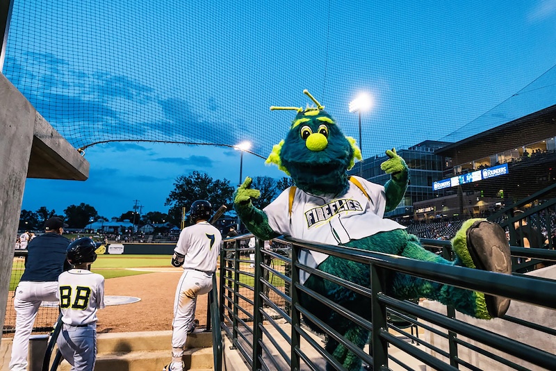 Columbia Fireflies Mascot