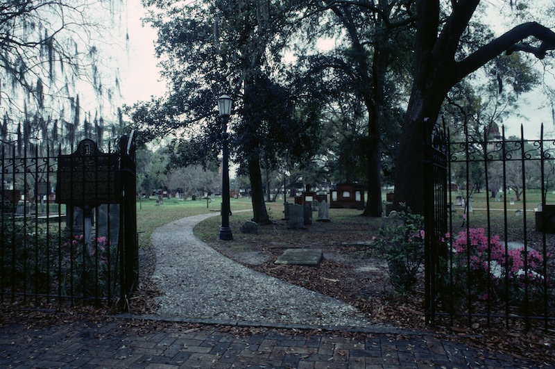 Friends exploring historic Savannah during an evening ghost tour.