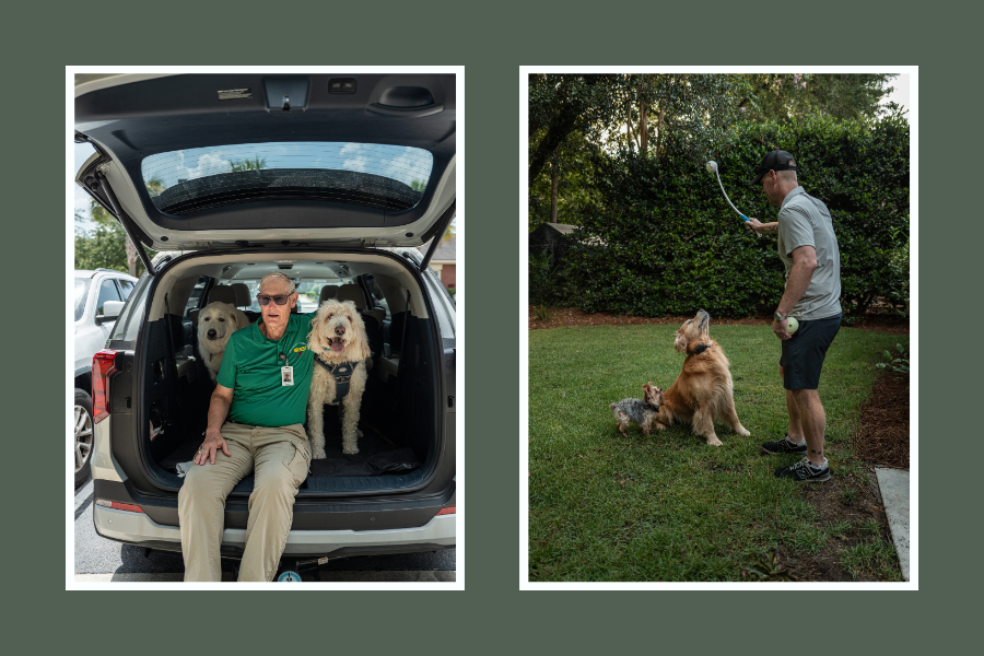 Certified therapy dogs and beloved family companions from across Hilton Head, Bluffton and Beaufort featured in LOCAL Life's "More Than a Pet."