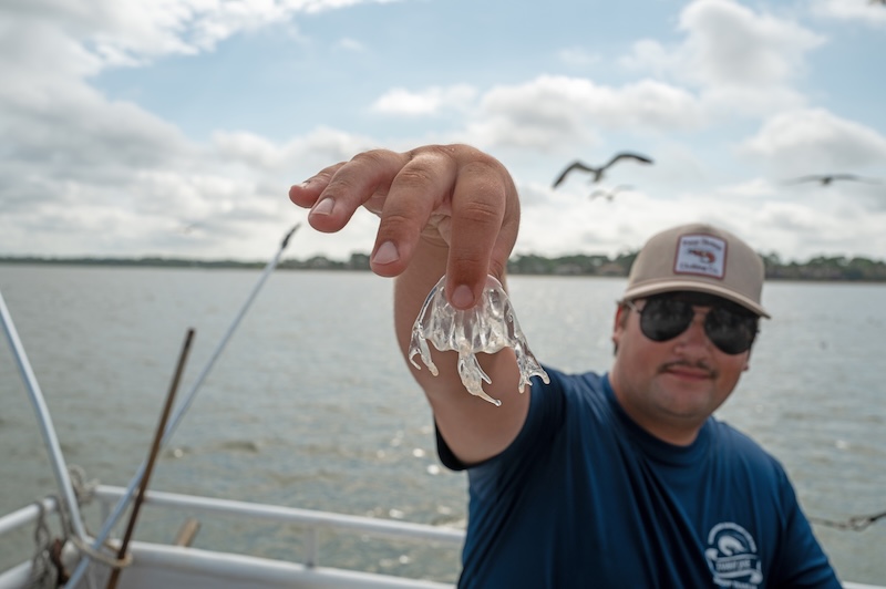 USCB marine biology student Jude Roman holding a jellyfish collected for research aboard the Tammy Jane.