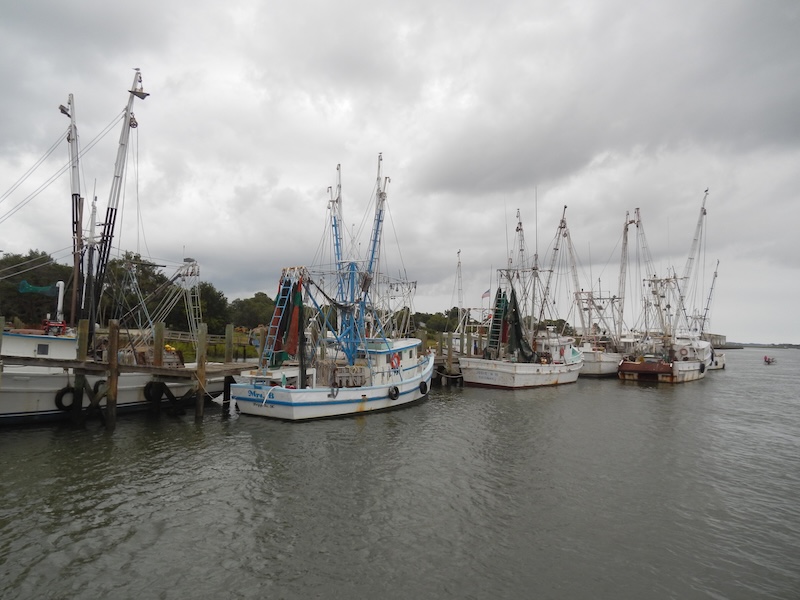 Commercial shrimp boats docked at Sea Eagle Market’s working waterfront on St. Helena Island.