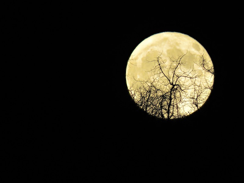 Harvest moon visible in the Lowcountry sky September 26, 2026
