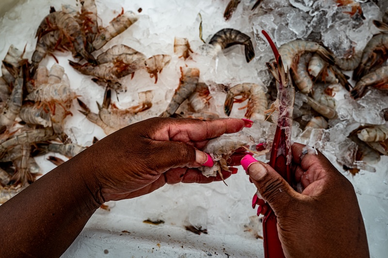 Fresh local shrimp being headed by hand at Gay Fish Company on St. Helena Island.