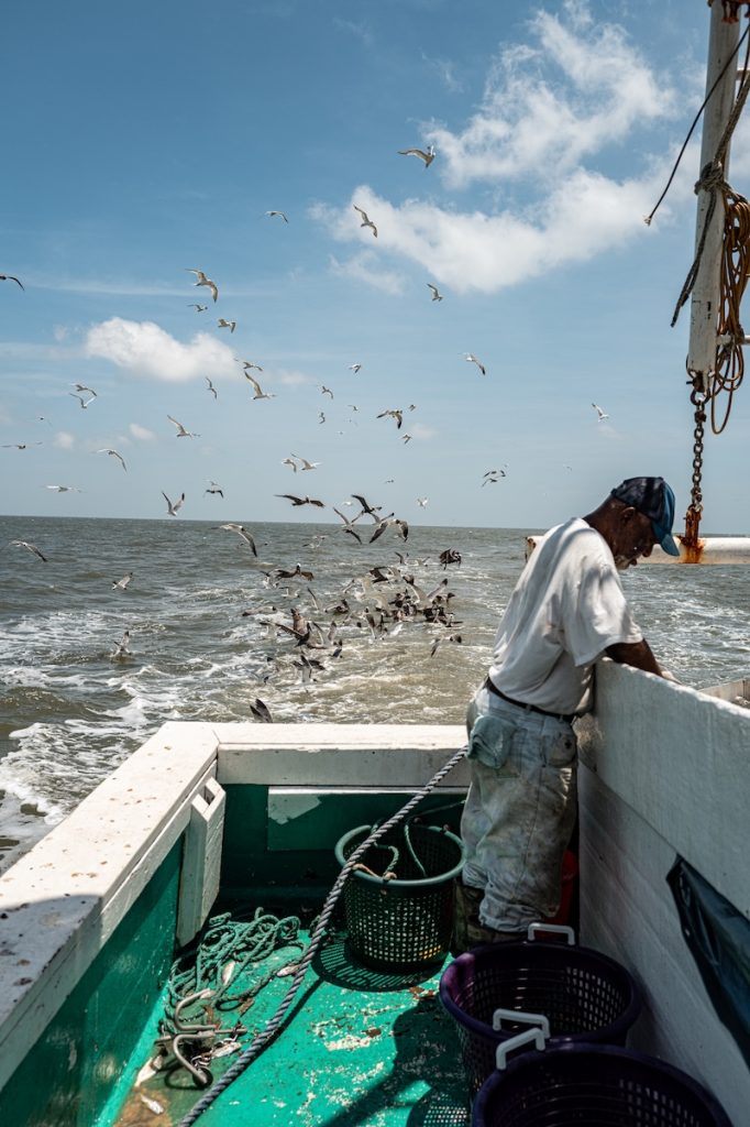 Commercial shrimping crew working aboard the Gracie Belle as seabirds circle over the day's catch.