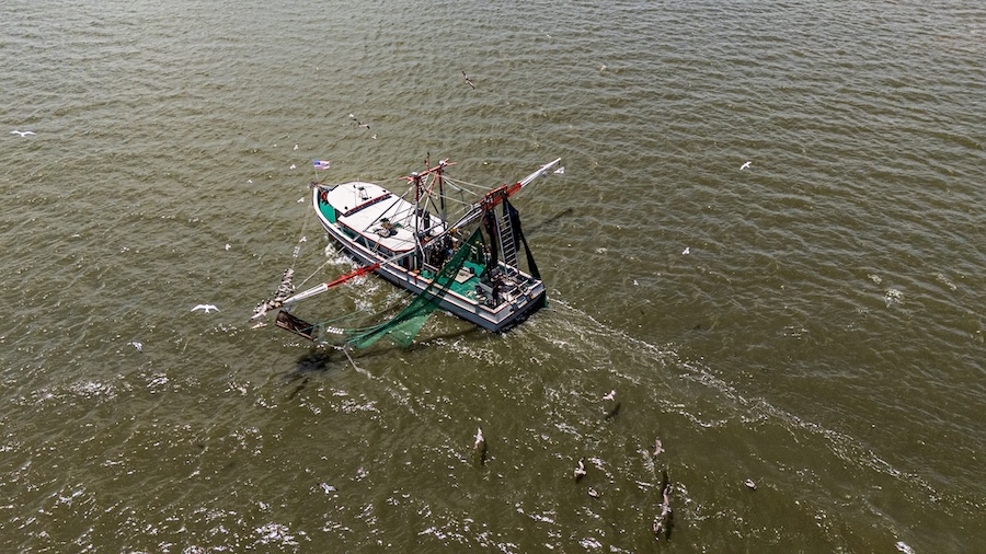 racie Belle commercial shrimp boat trawling for wild-caught shrimp in Atlantic waters off South Carolina.
