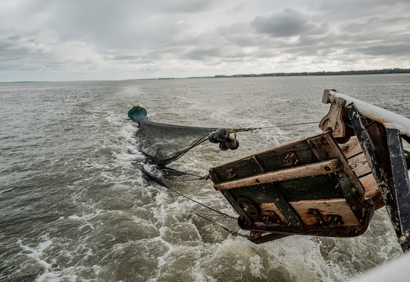 Commercial shrimp trawling equipment working in South Carolina coastal waters.