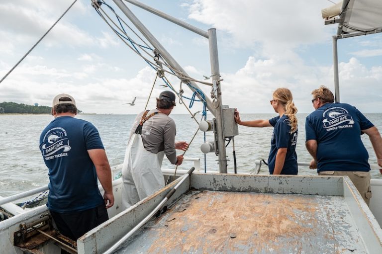 USCB marine biology students working aboard the Tammy Jane shrimp trawler during a Vagabond Cruise internship.
