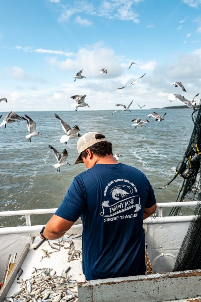 USCB marine biology student Jude Roman sorting marine life aboard the Tammy Jane for research in Calibogue Sound.