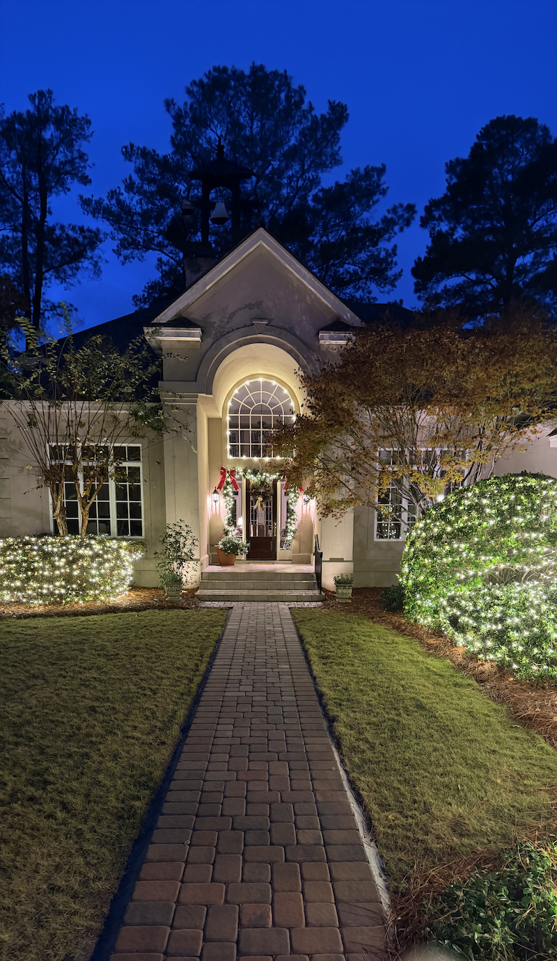 Humbug Holiday Lights - Lowcountry Home Christmas Lights